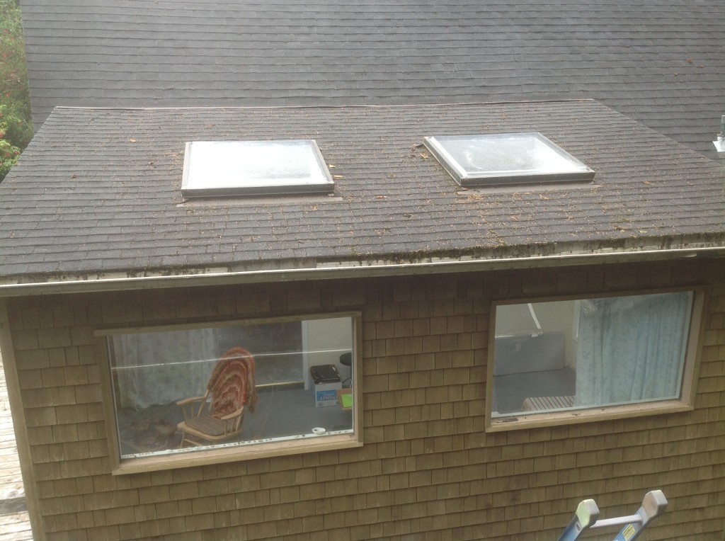 Repaired dryrot-damaged roof completed by Bragg Construction