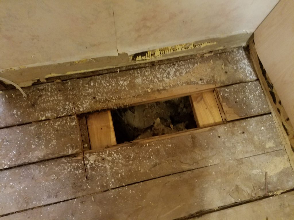 Damaged subfloor removed and ready for repair